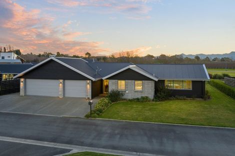 Photo of property in 19 Avignon Place, Fairhall, Blenheim, 7272