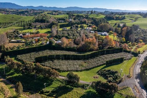 Photo of property in 394 Old Highway, Whakamarama, 3180