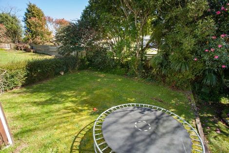 Photo of property in 16 Clothier Street, Putaruru, 3411