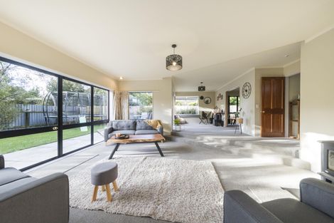 Photo of property in 19 Truscott Grove, Awapuni, Palmerston North, 4412