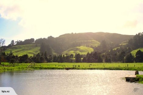 Photo of property in 1313 Whangaripo Valley Road, Whangaripo, Wellsford, 0972