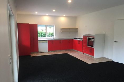 Photo of property in 17 Criterion Street, Arrowtown, 9302