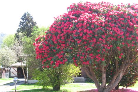 Photo of property in 9 Ross Road, Western Heights, Rotorua, 3015