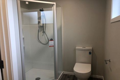 Photo of property in 8 Mcpherson Place, Fairfield, Hamilton, 3214