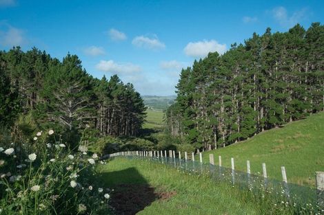 Photo of property in 132b Dormer Road, Waitoki, Helensville, 0875