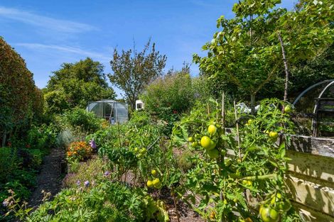 Photo of property in 608 Hurford Road, Hurford, New Plymouth, 4374