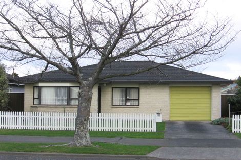 Photo of property in 85 Guy Avenue, Takaro, Palmerston North, 4410