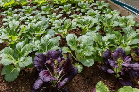 Photo of property in 68 Whakataha Road, Waimate North, Kaikohe, 0472