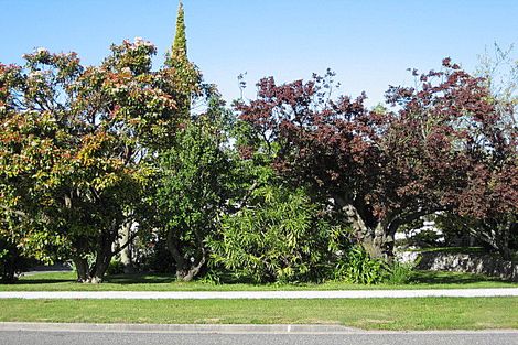 Photo of property in 95 Howick Road, Redwoodtown, Blenheim, 7201