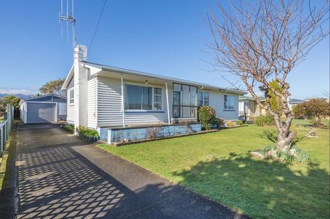 Photo of property in 12 Mersey Street, Levin, 5510