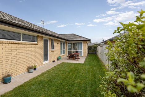 Photo of property in 146 Puhirake Crescent, Pyes Pa, Tauranga, 3112