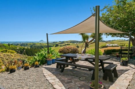 Photo of property in 457 Ohauiti Road, Ohauiti, Tauranga, 3112