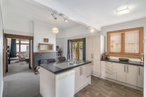 Photo of property in 19 Limbrick Street, Terrace End, Palmerston North, 4410