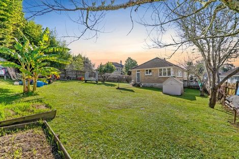 Photo of property in 28 Kohekohe Street, Meremere, Mercer, 2474