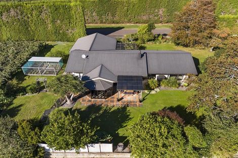 Photo of property in 61 Whitehead Avenue, Te Puke, 3183