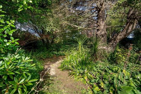 Photo of property in 64 Geelong Street, Waikouaiti, 9510