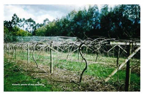 Photo of property in 378 Pakaru Road, Kawakawa, 0282