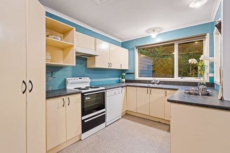 Photo of property in 29 Lonsdale Street, Belleknowes, Dunedin, 9011