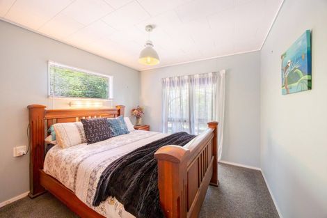 Photo of property in 128 Mangatarata Road, Waipukurau, 4285