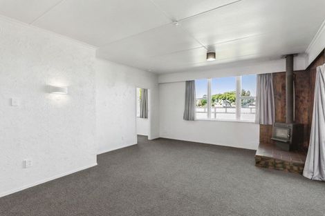 Photo of property in 120 Queen Street West, Levin, 5510