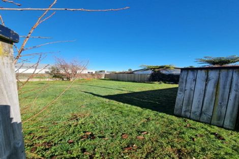 Photo of property in 2 Martin Harvey Street, Levin, 5510