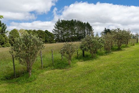 Photo of property in 33 Signal Road, Okaihau, 0475