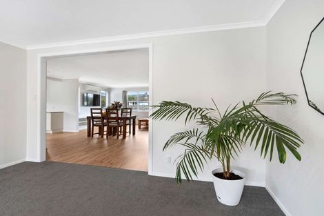 Photo of property in 113 Stanford Street North, Ashhurst, 4810