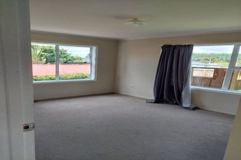 Photo of property in 23 Hinau Street, Maeroa, Hamilton, 3200