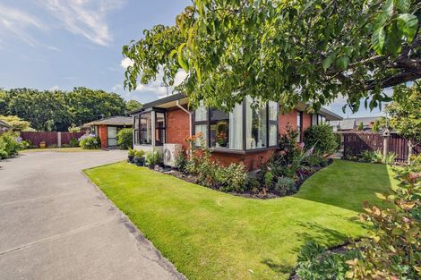 Photo of property in 11a William Street, Lincoln, 7608