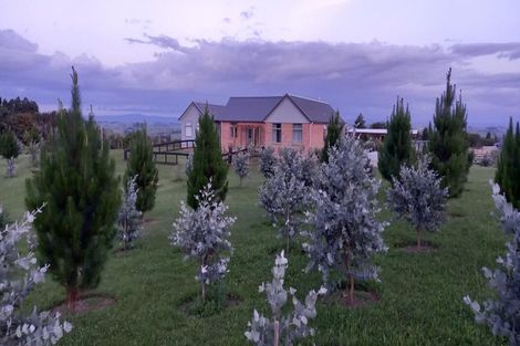 Photo of property in 151 Makgill Road, Maungatautari, Cambridge, 3494