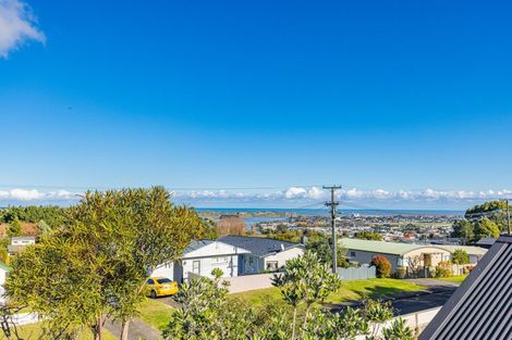 Photo of property in 125 Mount View Road, Bastia Hill, Whanganui, 4500