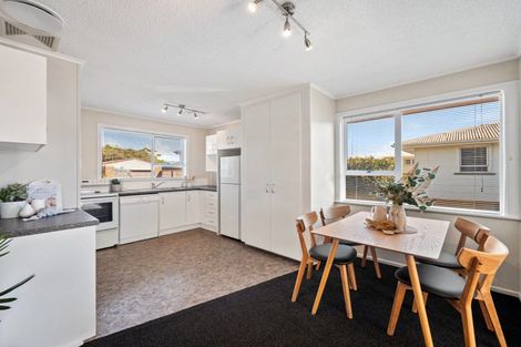Photo of property in 14 Lodge Avenue, Mount Maunganui, 3116