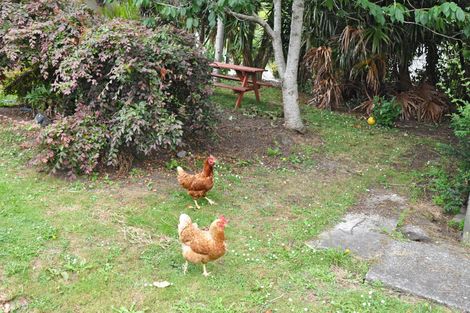 Photo of property in 11 Bellevue Avenue, Wellsford, 0900