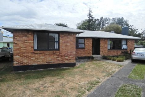 Photo of property in 149 Arapuni Street, Putaruru, 3411