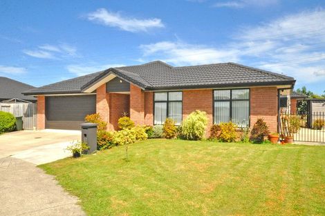 Photo of property in 17 Dumas Place, Rosehill, Papakura, 2113