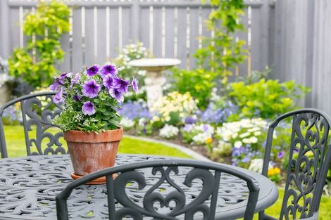 Photo of property in 21 Saltwood Lane, Bethlehem, Tauranga, 3110