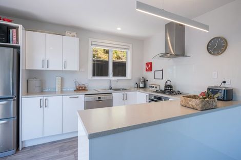 Photo of property in 117 Halifax Street East, The Wood, Nelson, 7010