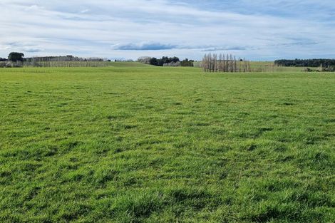 Photo of property in 41 Gray Road, Waitepeka, Balclutha, 9271