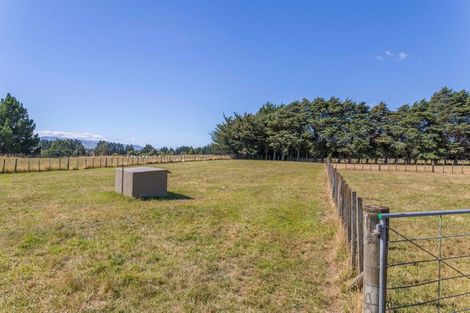 Photo of property in 29 Tipapakuku Road, Dannevirke, 4930