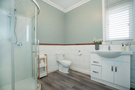 Photo of property in 45 Miro Street, Takaro, Palmerston North, 4410