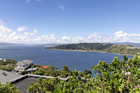Photo of property in 149 Te Anau Road, Hataitai, Wellington, 6021