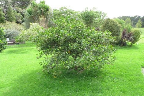 Photo of property in 47 Wilson Road, Wellsford, 0972