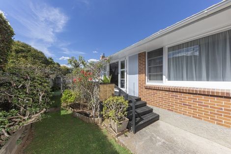 Photo of property in 477a Mount Albert Road, Mount Roskill, Auckland, 1042