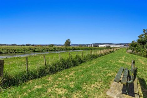 Photo of property in 6 Olive Grove, Edgecumbe, 3120