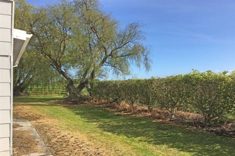 Photo of property in 382 Matatoki Road, Matatoki, Thames, 3578