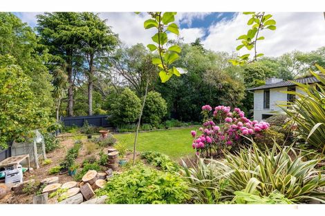 Photo of property in 11-17 Hayes Street, Waimate, 7924