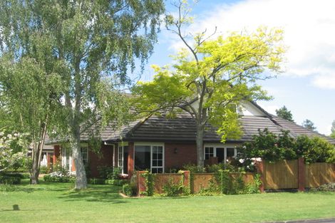 Photo of property in 51 Princes Street, Cambridge, 3434