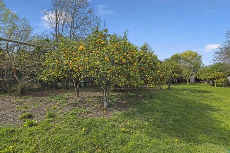 Photo of property in 12 Hammerichs Road, Rapaura, Blenheim, 7272