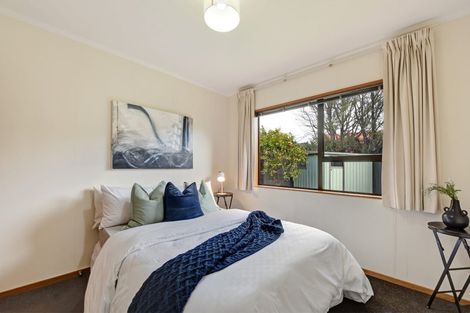 Photo of property in 3 Ledger Close, Richmond, 7020