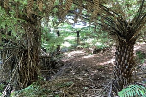 Photo of property in 237 Landlyst Road, Waihi, 3681